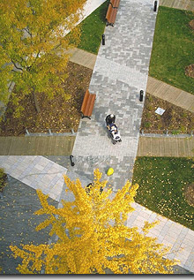 Place d'Youville, new and improved